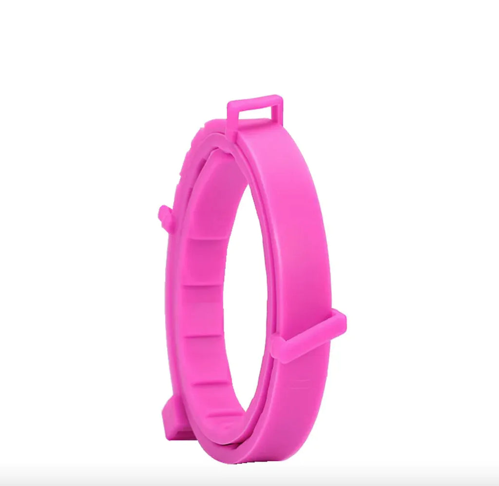 Anti-Flea Puppy Dog Collar